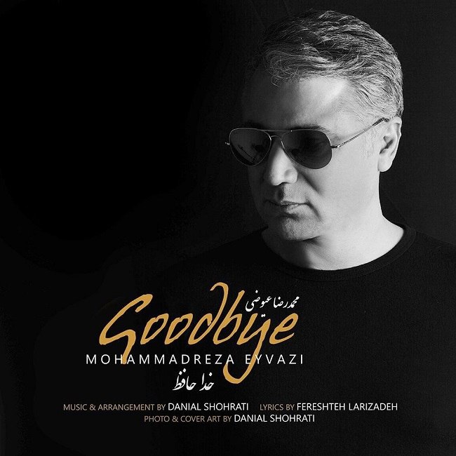 دانلود آهنگ خداحافظ دانلود آهنگ خداحافظ